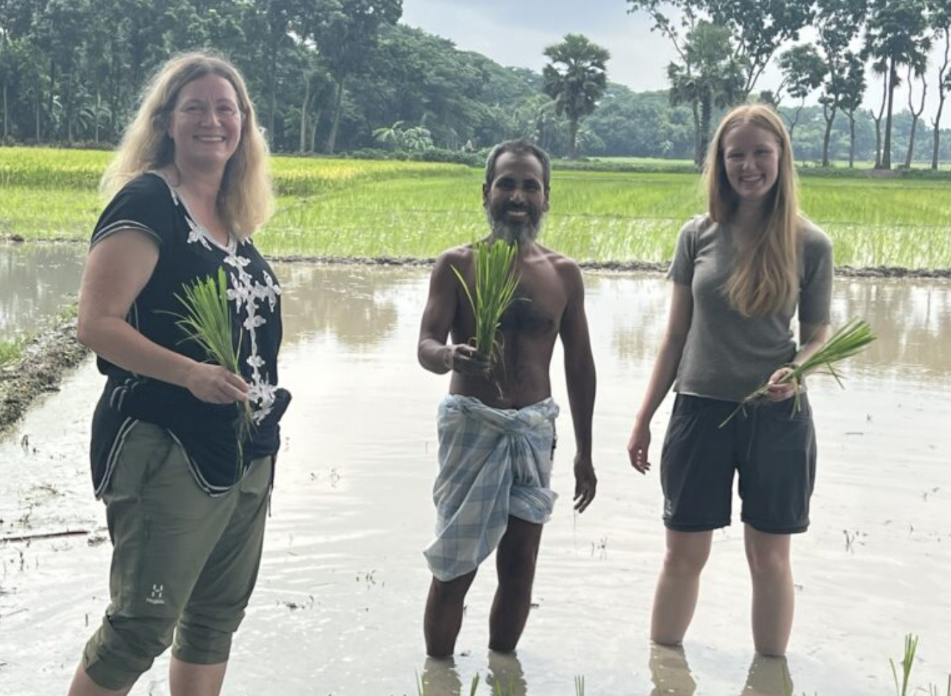 Bangladesh: Planting rice and just Living in the village of the Barbari family.